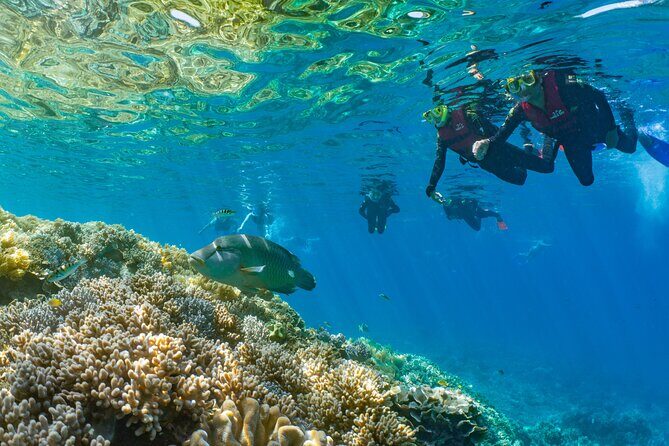 Sunlover Reef Cruises Cairns Great Barrier Reef Experience - The Experience Breakdown: What You’ll Love & What to Know
