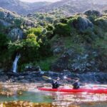 Sunrise wildlife sea kayaking in Akaroa marine reserve - The Value of This Tour