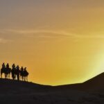Sunset Camel Ride with an Authentic Dinner in an Oasis - Who Should Consider This Tour?