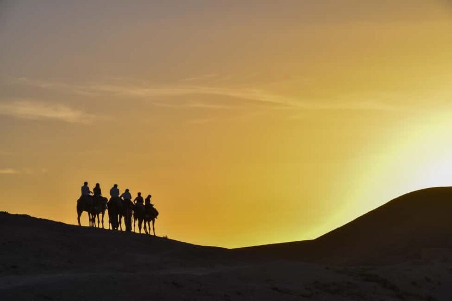 Sunset Camel Ride with an Authentic Dinner in an Oasis - Who Should Consider This Tour?