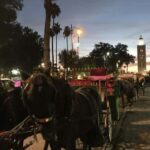 Sunset City Tour : Souks & Medina with Caleche by Night - The Magic of Jemaa El-Fna Square