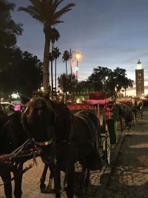Sunset City Tour : Souks & Medina with Caleche by Night - The Magic of Jemaa El-Fna Square