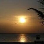 sunset dow cruise at kendwa beach - Authenticity & Value