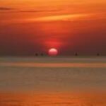sunset dow Cruise at Kendwa Beach - An In-Depth Look at the Sunset Dhow Cruise Experience