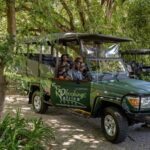 Sunset Drive From Hazyview - Kruger National Safari - Why This Tour Stands Out