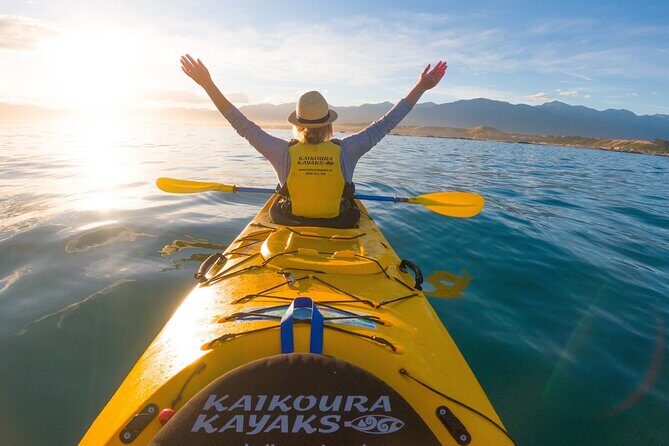 Sunset Evening Kayaking Tour - Kaikoura - Final Thoughts: Is This Tour Right for You?