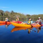 Sunset Kayak Eco Tour with Marine Scientist - The Experience in Detail: Why This Tour Excels