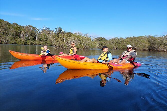 Sunset Kayak Eco Tour with Marine Scientist - The Experience in Detail: Why This Tour Excels