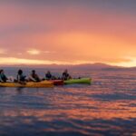 Sunset Kayak tour in Kaikoura - What Makes This Tour Stand Out?