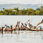 Sunset River Cruise near Byron Bay - Who Will Love This Tour