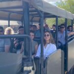 sunset safari big 5 aquila with snack and wine tasting - The Day Begins: From Cape Town to Aquila