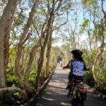 Sunshine Coast: Easy Peasy Novotel North E-Bike Tour - Detailed Breakdown of the Experience