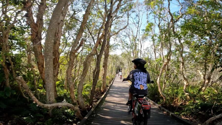 Sunshine Coast: Easy Peasy Novotel North E-Bike Tour - Detailed Breakdown of the Experience