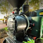 Sunshine Coast: Ginger Factory, Eumundi, & Botanic Gardens - Final Thoughts: Who Will Love This Tour?