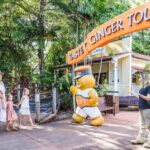 Sunshine Coast Hinterland Private Tour from Brisbane - What Makes This Tour Stand Out?