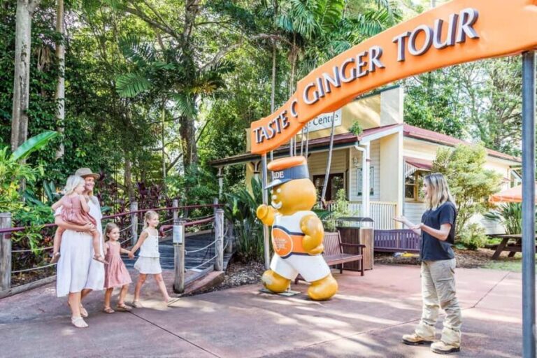 Sunshine Coast Hinterland Private Tour from Brisbane - What Makes This Tour Stand Out?