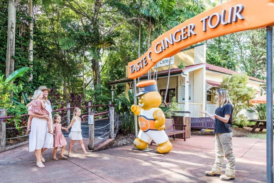 Sunshine Coast Hinterland Private Tour from Brisbane - What Makes This Tour Stand Out?