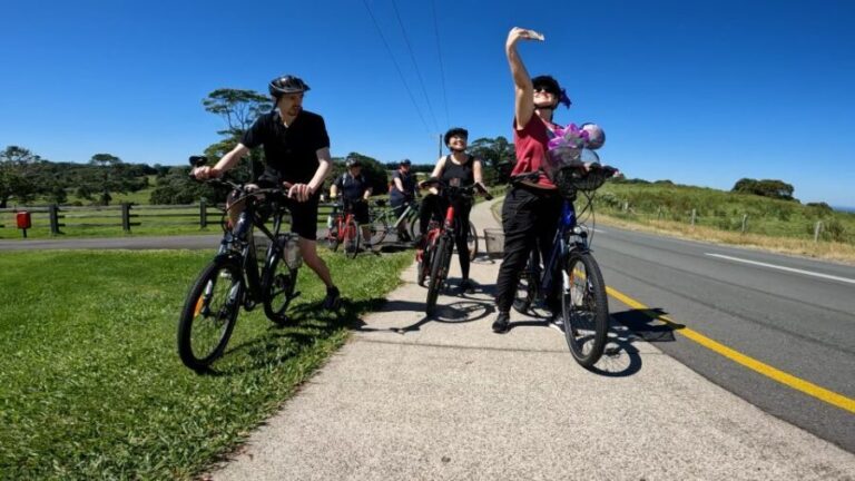 Sunshine Coast: Maleny Magic Guided e-Bike Tour - Step-by-Step Breakdown of the Itinerary
