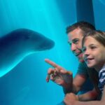 Sunshine Coast: SEA LIFE Sunshine Coast Entry Ticket - How this tour stacks up in terms of value