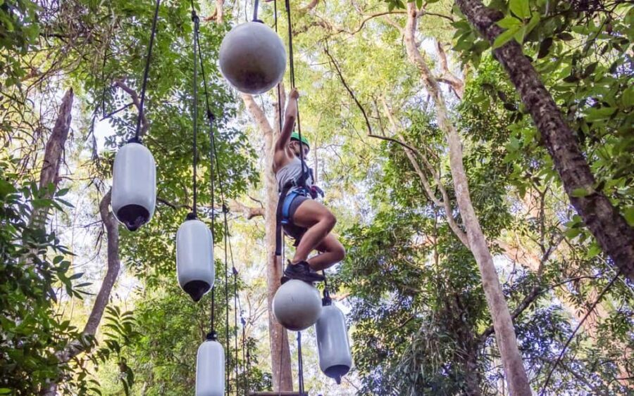 Sunshine Coast: Treetop Challenge Adventure Park - Who Will Love This?
