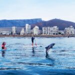 SUP Ocean Tour - What to Expect from the Tour Itself