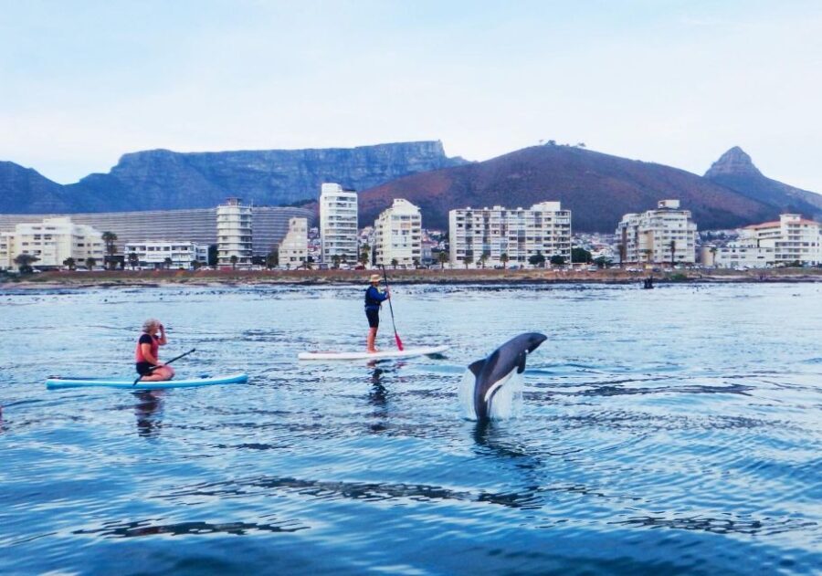 SUP Ocean Tour - What to Expect from the Tour Itself