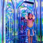 Surfers Paradise: Ripley's Believe It or Not! 3 Way Combo - The practicalities and value