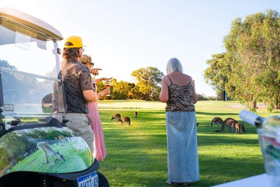 Swan Valley: Golf Cart Kangaroo Safari w/ Mini Golf & Drink - Exploring the Swan Valley Golf Cart Kangaroo Safari