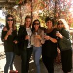 Swan Valley: Half-Day Wine Tour From Perth - Transport and Group Dynamics