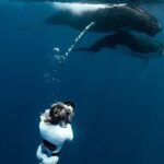 Swim with humpback whales - Who Will Love This Tour?