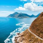 Swim with Penguins at Boulders Beach Penguin Colony - Practical Tips for Your Penguin Adventure