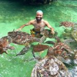 Swim with turtles at Salaam cave & The rock restaurant visit - Introduction: What to Expect from This Zanzibar Tour