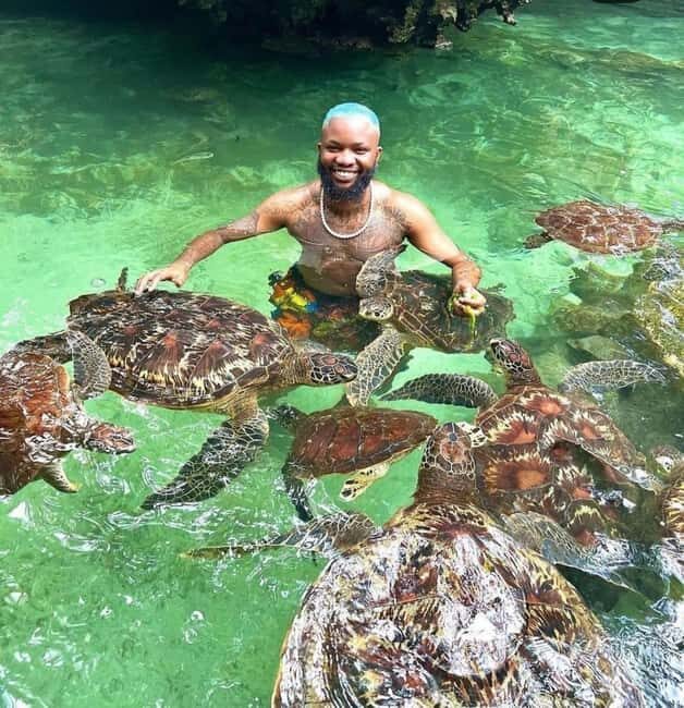 Swim with turtles at Salaam cave & The rock restaurant visit - Introduction: What to Expect from This Zanzibar Tour