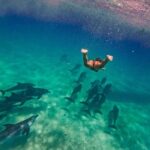 Swimming with dolphins in kizimkazi +snorkeling - Practical Tips for Your Dolphin & Snorkeling Tour