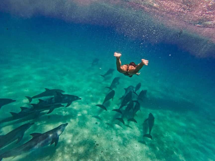 Swimming with dolphins in kizimkazi +snorkeling - Practical Tips for Your Dolphin & Snorkeling Tour