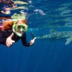 Swimming with the Whale Sharks - Ningaloo Reef (Exmouth) - Practical Tips for Booking and Preparing