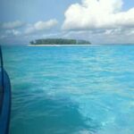 Swimming with tirltes at The Lagoons Zanzibar in Nungwi - Practical Details: What to Expect and Tips for Visiting