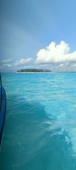 Swimming with tirltes at The Lagoons Zanzibar in Nungwi - Practical Details: What to Expect and Tips for Visiting