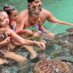 Swimming With Turtle at Baraka aquarium - How the Tour Is Structured and What to Expect