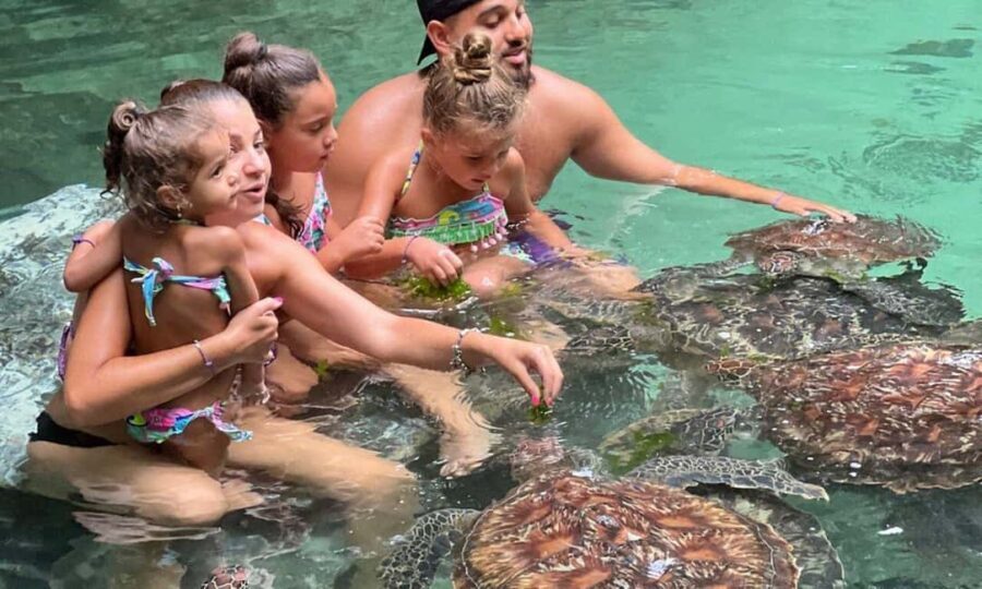 Swimming With Turtle at Baraka aquarium - How the Tour Is Structured and What to Expect