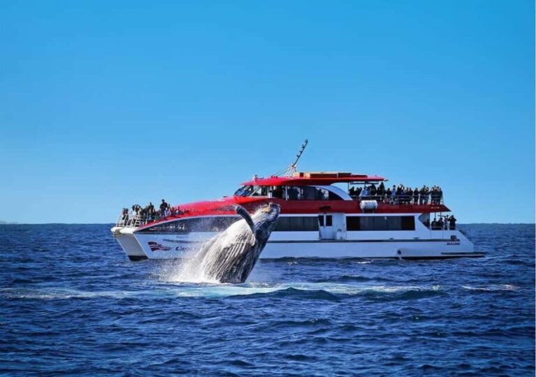 Sydney: 2.5-Hour Whale Watching & Wildlife Cruise - The Experience in Detail: Pros and Cons