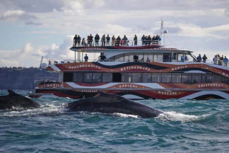 Sydney: 2-hour Express Whale Watching Cruise - The Sum Up