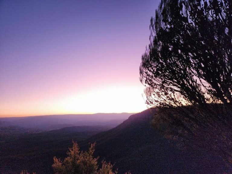 Sydney Blue Mountain Night Tour - What Makes This Tour Stand Out?