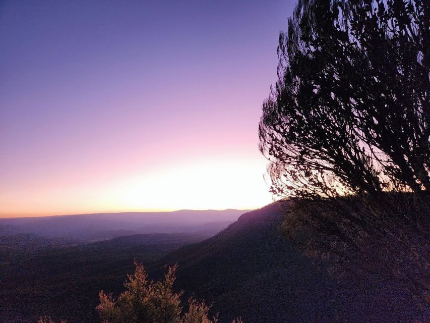 Sydney Blue Mountain Night Tour - What Makes This Tour Stand Out?