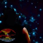Sydney: Blue Mountains Glow Worms Wild Adventure by Night - A Closer Look at the Experience