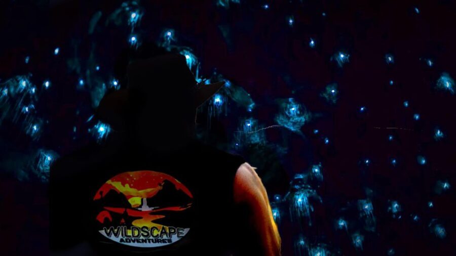 Sydney: Blue Mountains Glow Worms Wild Adventure by Night - A Closer Look at the Experience