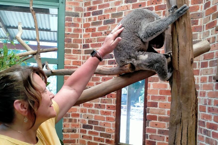 Sydney: Blue Mountains Late Start, Walks Waterfalls & Koalas - Transportation and Group Size