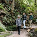 Sydney: Blue Mountains Tour with Wildlife Park & Waterfalls - An In-Depth Look at the Blue Mountains Tour Experience