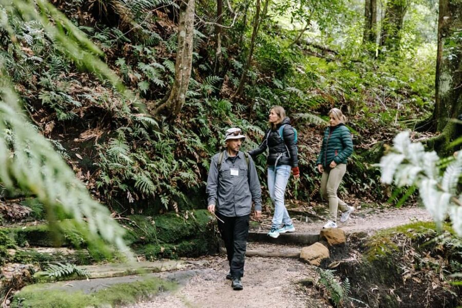 Sydney: Blue Mountains Tour with Wildlife Park & Waterfalls - An In-Depth Look at the Blue Mountains Tour Experience