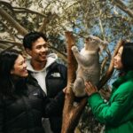 Sydney: Blue Mountains Wildlife & Bushwalk Small-Group Tour - Transportation & Group Size